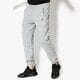Vyriškos kelnės NEW ERA KELNĖS NE BRANDED JOGGER NE LGH NONE 11604088 spalva pilka