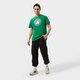 Vyriški marškinėliai NIKE MARŠKINĖLIAI BOS M NK DF ES LOGO SS TEE NBA da6001-312 spalva žalia