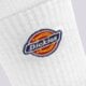 Moteriškos kojinės DICKIES KOJINĖS VALLEY GROVE SOCKS dk0a4x82whx1 spalva balta