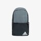 Moteriška kuprinė ADIDAS KUPRINĖ DAILY BP II ge1206 spalva pilka