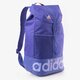 Moteriška kuprinė ADIDAS KUPRINĖ LIN PER BP s29431 spalva violetinė