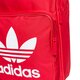 Moteriška kuprinė ADIDAS KUPRINĖ BP CLAS TREFOIL dq3157 spalva raudona