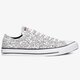 Vyriški inkariukai CONVERSE CHUCK TAYLOR ALL STAR  171860c spalva balta