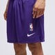 Vyriški šortai NIKE ŠORTAI LAL M NK PLAYER SHRT NBA dn4629-504 spalva violetinė