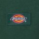 Moteriški marškinėliai DICKIES MARŠKINĖLIAI OAKPORT BOXY SS TEE dk0a4y8lpin1 spalva žalia