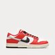 Vyriški kedai NIKE DUNK LOW RETRO PRM dz2536-600 spalva raudona