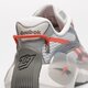 Vyriški kedai REEBOK ZIG KINETICA 2.5 gx0500 spalva pilka