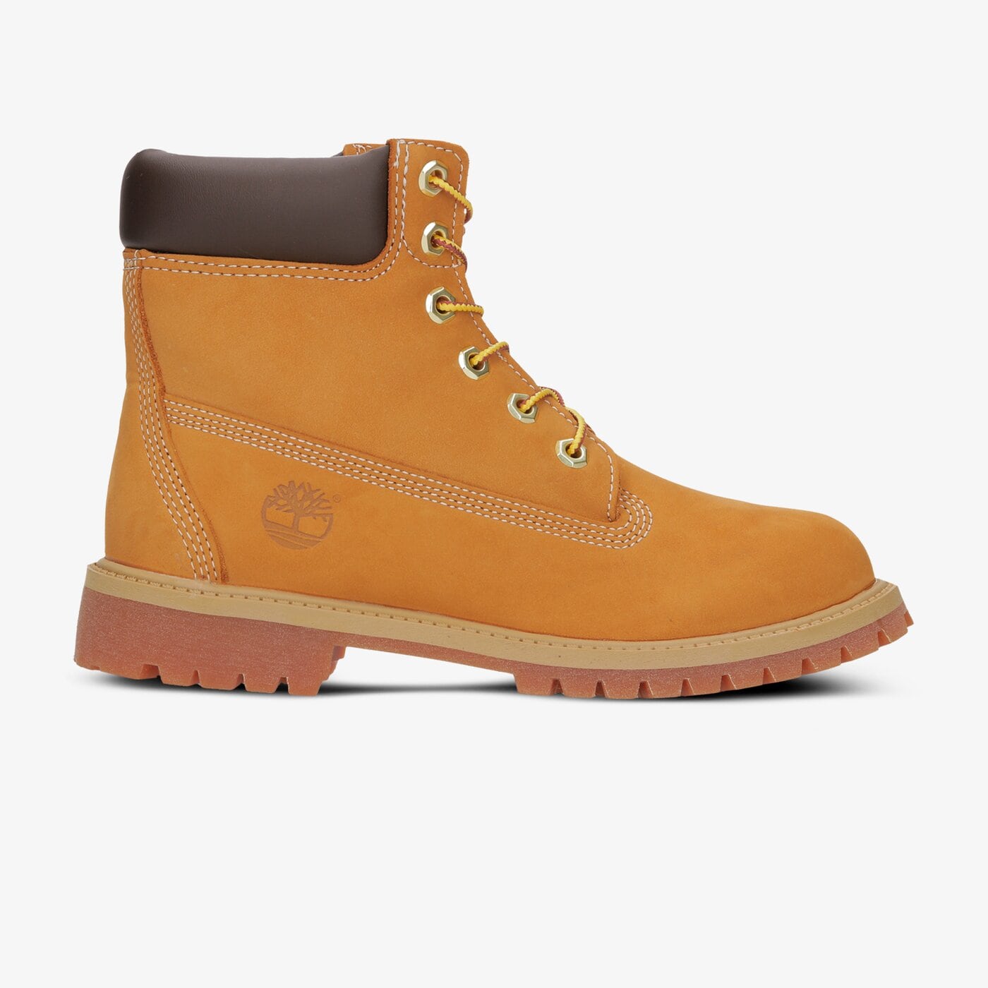 6 in premium wp boot