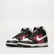 Moteriški kedai NIKE DUNK HIGH  dd1869-005 spalva daugiaspalvė