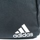 Moteriška kuprinė ADIDAS KUPRINĖ DAILY BP II ge1206 spalva pilka