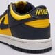 Vaikiški kedai NIKE DUNK LOW cw1590-700 spalva geltona