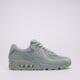 Vyriški kedai NIKE AIR MAX 90  dm0029-025 spalva pilka