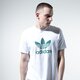 Vyriški marškinėliai ADIDAS MARŠKINĖLIAI TREFOIL MARŠKINĖLIAI fm3789 spalva balta