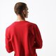 Vyriškas džemperis FILA DŽEMPERIS AREN CREW SHIRT 682363006 spalva raudona