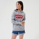 Moteriškas džemperis LEVI'S DŽEMPERIS SU GOBTUVU   GRAPHIC STANDARD HOODIE 18487-0020 spalva pilka