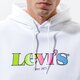Vyriškas džemperis LEVI'S DŽEMPERIS SU GOBTUVU   T3 RELAXD GRAPHIC HOODIE 38821-0042 spalva balta