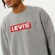 Vyriškas džemperis LEVI'S DŽEMPERIS T3 RELAXED GRAPHIC CREW 39134-0030 spalva pilka