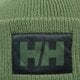 Vaikiška kepurė HELLY HANSEN KEPURĖ HH BOX BEANIE 53648406 spalva žalia