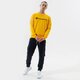 Vyriškas džemperis CHAMPION DŽEMPERIS CREWNECK SWEATSHIRT 214140ys058 spalva geltona