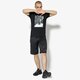 Vyriški šortai JORDAN ŠORTAI RISE GRAPHIC SHORT 888376-010 spalva juoda
