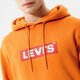 Vyriškas džemperis LEVI'S DŽEMPERIS SU GOBTUVU   T3 RELAXD GRAPHIC HOODIE 38821-0116 spalva ruda