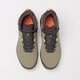 Vyriški auliniai batai ADIDAS TERREX AX4 MID BETA C.RDY gy3158 spalva rusvai žalsva