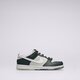 Vaikiški kedai NIKE DUNK LOW fb9108-300 spalva pilka