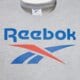 Vyriški marškinėliai REEBOK MARŠKINĖLIAI BRUNO   BIG LOGO CREW NECK SS TEE 100240886 spalva pilka