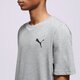 Vyriški marškinėliai PUMA MARŠKINĖLIAI ESS SMALL LOGO TEE 58666853 spalva pilka