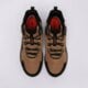 Vyriški auliniai batai ADIDAS TERREX ANYLANDER MID R.RDY jq9963 spalva ruda