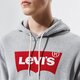 Vyriškas džemperis LEVI'S DŽEMPERIS SU GOBTUVU T2 STD GRAPHIC HOODIE 384240000 spalva pilka