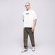 Vyriški marškinėliai DICKIES MARŠKINĖLIAI WILLISTON TEE SS dk0a87ylc481 spalva rusvai gelsva