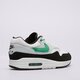 Vyriški kedai NIKE AIR MAX 1 ESS fn6952-100 spalva balta