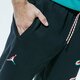 Vyriškos kelnės JORDAN KELNĖS SPORT DNA ck9581-011 spalva tamsiai mėlyna
