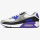 Vyriški kedai NIKE AIR MAX 90  cd0881-104 spalva pilka