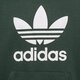 Vaikiškas džemperis ADIDAS DŽEMPERIS SU GOBTUVU TREFOIL HOODIE BOY hk0270 spalva juoda
