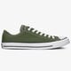 Vyriški inkariukai CONVERSE CHUCK TAYLOR ALL STAR  166711c spalva žalia