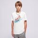 Vaikiški marškinėliai JORDAN MARŠKINĖLIAI JDB AJ1 WAVE SS TEE BOY 95f043-001 spalva balta