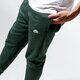 Vyriškos kelnės NIKE KELNĖS SPORTSWEAR CLUB FLEECE bv2671-370 spalva rusvai žalsva