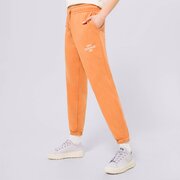 NEW BALANCE KELNĖS NB ESSENTIALS GRAPHIC FLEECE