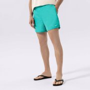 NIKESWIM ŠORTAI ESSENTIAL 5"