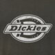 Vyriški marškinėliai DICKIES MARŠKINĖLIAI PLAINVILLE SS TEE dk0a88gnblk1 spalva pilka
