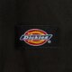 Vyriška žieminė striukė DICKIES STRIUKĖ  ŽIEMINĖ EISENHOWER PUFFER dk0a8buxblk1 spalva juoda
