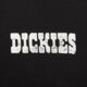 Vyriški marškinėliai DICKIES MARŠKINĖLIAI PLAIN CITY SS TEE dk0a88jiblk1 spalva juoda