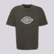 Vyriški marškinėliai DICKIES MARŠKINĖLIAI PLAINVILLE SS TEE dk0a88gnblk1 spalva pilka