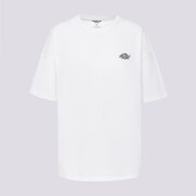 DICKIES MARŠKINĖLIAI SUMMERDALE SS TEE